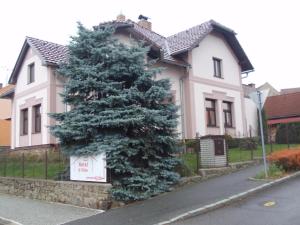 a large pine tree in front of a house at Apartmán Janoušek in Humpolec