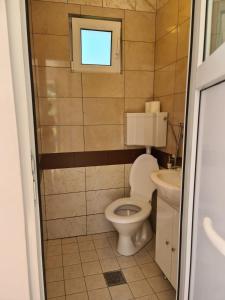 a small bathroom with a toilet and a sink at Mountain View 2 - ciubar in Câmpulung +12 photos