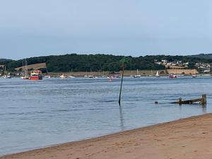 a tree in the water next to a beach at Exmouth - Newly available, near the Beach in Exmouth