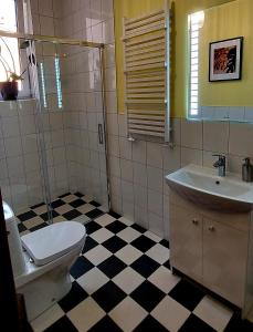 ein Bad mit einem WC und einem Waschbecken in der Unterkunft Old Town Plus in Tarnów