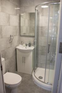 a bathroom with a shower and a toilet and a sink at Charming Accommodation close to Birmingham in West Bromwich