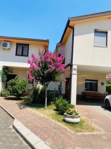 un arbre aux fleurs roses devant un bâtiment dans l'établissement Pansion Vlado, à Međugorje