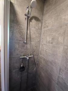 y baño con ducha con cabezal de ducha. en Urvaste Vana-Söödi Puhkemaja, en Urvaste
