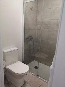 a bathroom with a toilet and a glass shower at Apartamento Castelo de Santa Cruz in Oleiros