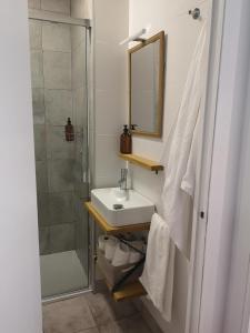 a bathroom with a sink and a shower with a mirror at Apartamento Castelo de Santa Cruz in Oleiros