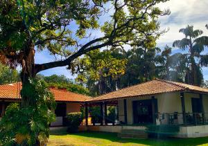 una casa con un árbol delante de ella en Espaço Sr Churras famílias são bem vindas Temos berço en Boituva