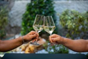 two people holding up two glasses of white wine at Hotel Diffuso Locanda Elisa in Dimaro