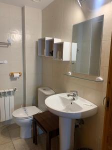 La salle de bains est pourvue d'un lavabo, de toilettes et d'un miroir. dans l'établissement PORT DRET Peu del Riu 202 - Vall d'Incles - Soldeu, à Incles