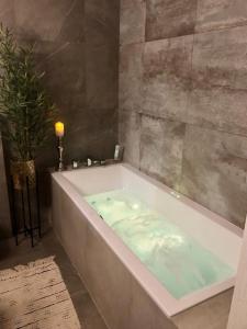 uma casa de banho com uma banheira com um vaso de plantas em LIKE HOME 2 Sauna,Jacuzzi & Spa em Świdnica