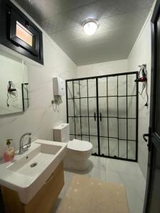 A bathroom at AYDER LEVUT Bungalov Még 37 kép