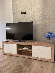 a flat screen tv sitting on top of a wooden entertainment center at Apartament na Skarpie in Zator