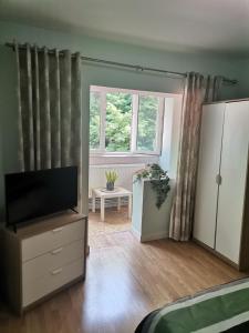 Un dormitorio con una cama y un televisor y una ventana. en Montana Slănic, en Slănic-Moldova 34 fotos más
