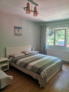 1 dormitorio con cama y ventana en Montana Slănic, en Slănic-Moldova