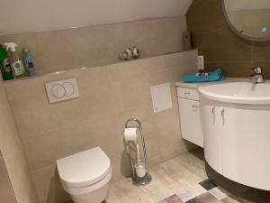A bathroom at Maria Vendéghaz