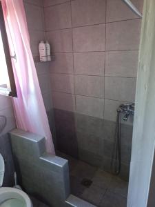 a bathroom with a shower and a toilet at Casa Con Vista Apartments in Halki