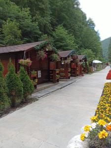 a walkway with flowers and a building with plants at Montana Slănic in Slănic-Moldova