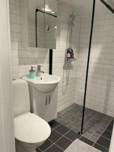 y baño con aseo, lavabo y ducha. en Central lägenhet i nyrenoverat 1700-talshus, en Västervik