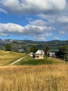 une maison sur une colline avec un champ d'herbe dans l'établissement Apartman BUKOVAC, à Žabljak