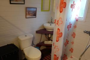 a bathroom with a toilet and a sink at Gîte et meublés du Tour du monde in Dumbéa