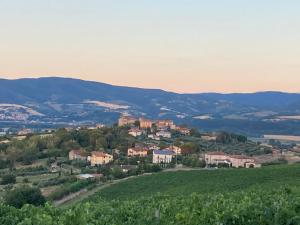 un pequeño pueblo en una colina con montañas en el fondo en B&B Casa Losea, en Castello delle Forme
