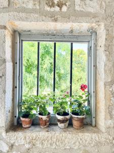 Lanzac的住宿－Auberge du lion d'or，坐在窗台上的盆栽植物群
