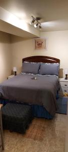 um quarto com uma cama grande e almofadas azuis em Private Apartment Close to Airport Toronto Pearson em Toronto