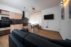 Kuchyňa alebo kuchynka v ubytovaní Cauriol Suites 1.1