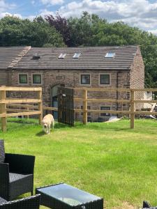 a dog standing in a yard in front of a house at Unique Barn conversion in Saddleworth in Oldham