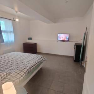 a bedroom with a bed and a tv on a wall at Maison 3 chambres. cour Privative 2 places de parking privatives in Corquilleroy +29 photos