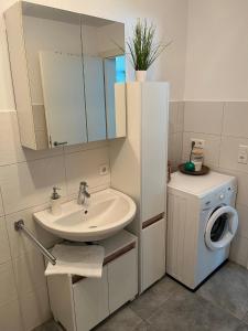 ein Badezimmer mit einem Waschbecken und einer Waschmaschine in der Unterkunft Schöne Wohnung in ruhiger Lage mit Garten. in Dornbirn