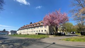 budynek z kwitnącym drzewem obok ulicy w obiekcie Apartment Bonbon - stilvoll renoviert - Ihr zu Hause auf Zeit w mieście Kassel