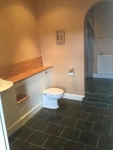 a bathroom with a toilet and a walk in shower at Belton House Holiday Home in Wanlockhead