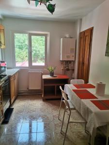 Una cocina con mesa y sillas y una ventana. en Montana Slănic, en Slănic-Moldova