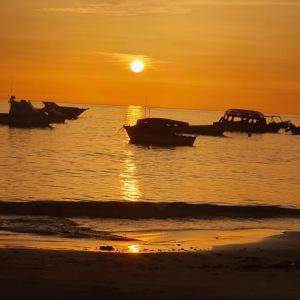 a group of boats in the water at sunset at de Felice in Mount Pleasant