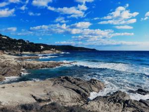 Fotografia z galérie ubytovania Charmant studio dans le golfe de saint tropez v destinácii Plan-de-la-Tour