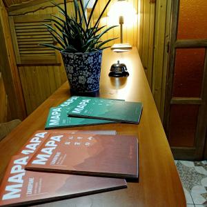 ein Buch auf einem Tisch mit Topfpflanze in der Unterkunft Kazkowa Koliba in Zakopane