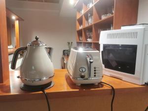 a blender and a toaster on a counter next to a microwave at Penzion Zornicka in Bardejovské Kúpele
