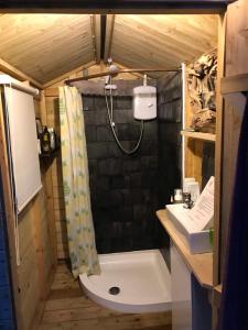 małą łazienkę z prysznicem i umywalką w obiekcie Robins Nest glamping pod North Wales w mieście Mold