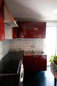 Кухня или кухненски бокс в Apartamentos Siglo XXI - Marabu