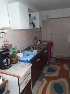 een keuken met een spoelbak en een aanrechtblad bij Casa Denis in Turda +15 foto's