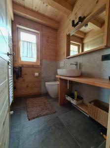 - une salle de bains pourvue d'un lavabo et de toilettes dans une cabine dans l'établissement Chalet Camporosso, à Camporosso in Valcanale