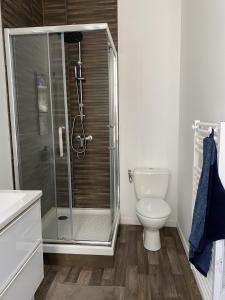 uma casa de banho com um chuveiro e um WC. em Villa des Thermes - T2 em Royat