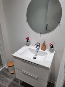 ein Badezimmer mit einem weißen Waschbecken und einem Spiegel in der Unterkunft Superbe logement T3 en duplex. in Saint-Gaudens