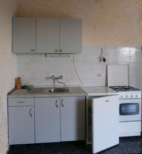 Kuchyň nebo kuchyňský kout v ubytování Apartments & Rooms Tony
