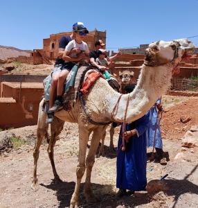Un groupe de gens qui se déplacent à l'arrière d'un chameau dans l'établissement Kasbah La Cigogne, à Aït Ben Haddou