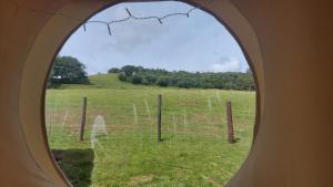Yurt Uchaf Off-Grid Glamping外面的花园