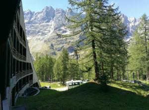 a view of a mountain from a house with a tree at Grazioso monolocale vista Cervino in Breuil-Cervinia