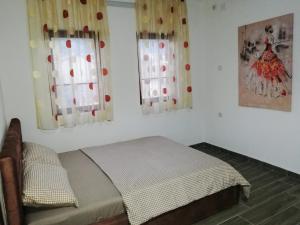 ein Schlafzimmer mit einem Bett und zwei Fenstern in der Unterkunft TOP 3 Apartments in Strumica