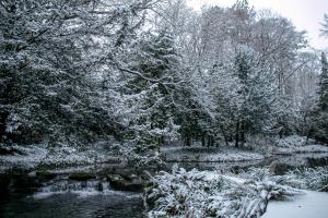 einen schneebedeckten Garten mit einem Teich und Bäumen in der Unterkunft HIGHFIELD in Great Driffield