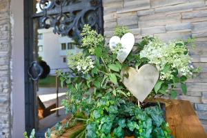 Zahrada ubytování Apartment Marent Garten Chalet